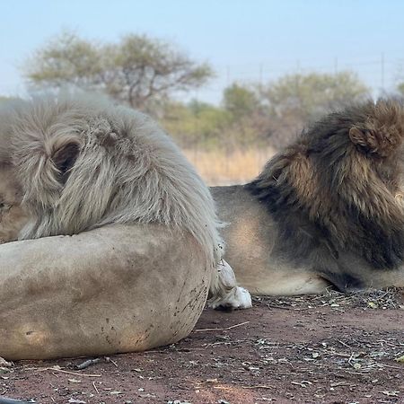 Simba Safaris African Pride Exotic Lodge Lephalale Bagian luar foto