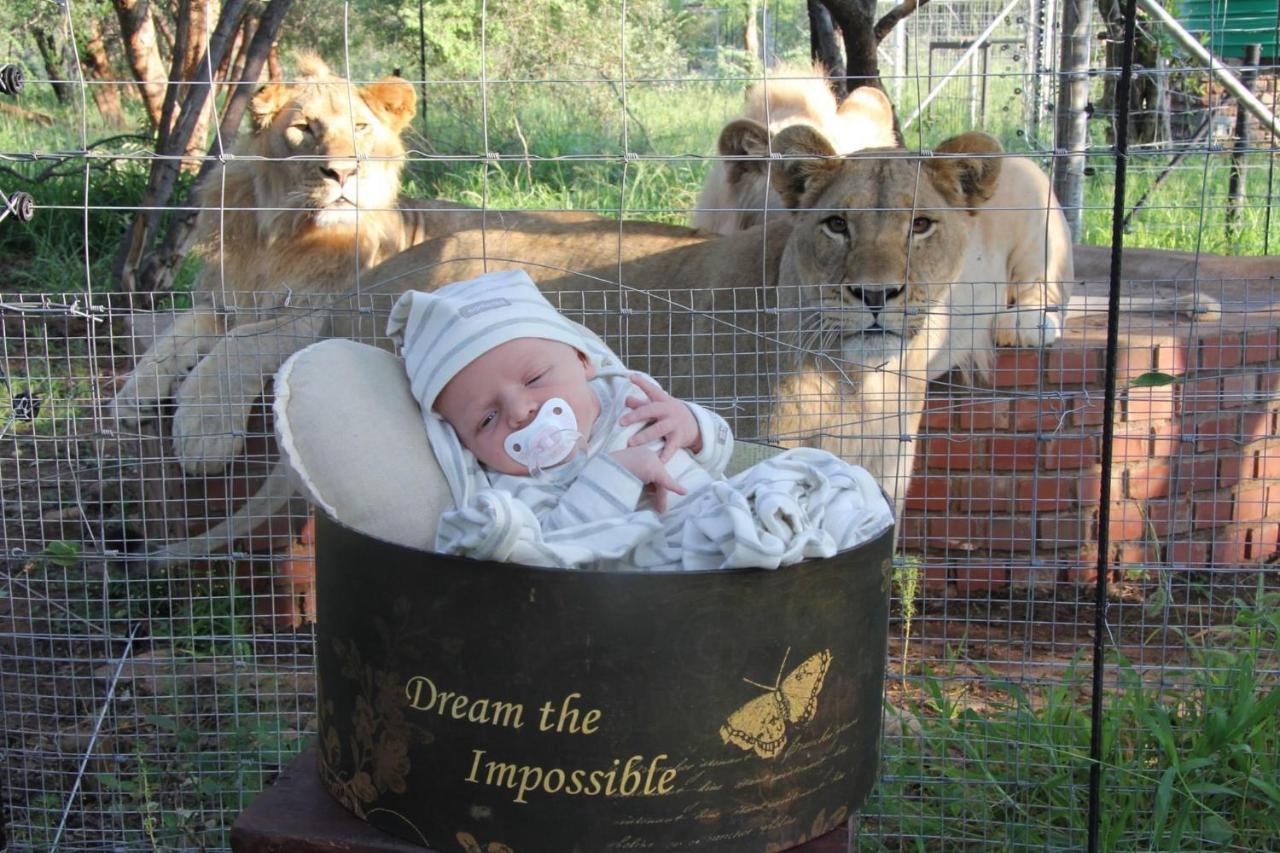 Simba Safaris African Pride Exotic Lodge Lephalale Bagian luar foto