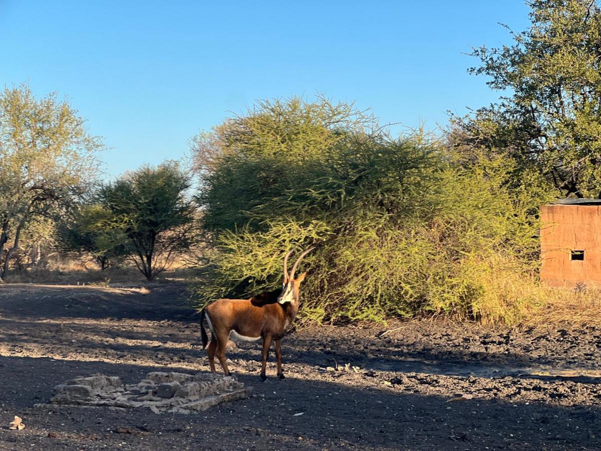 Simba Safaris African Pride Exotic Lodge Lephalale Bagian luar foto