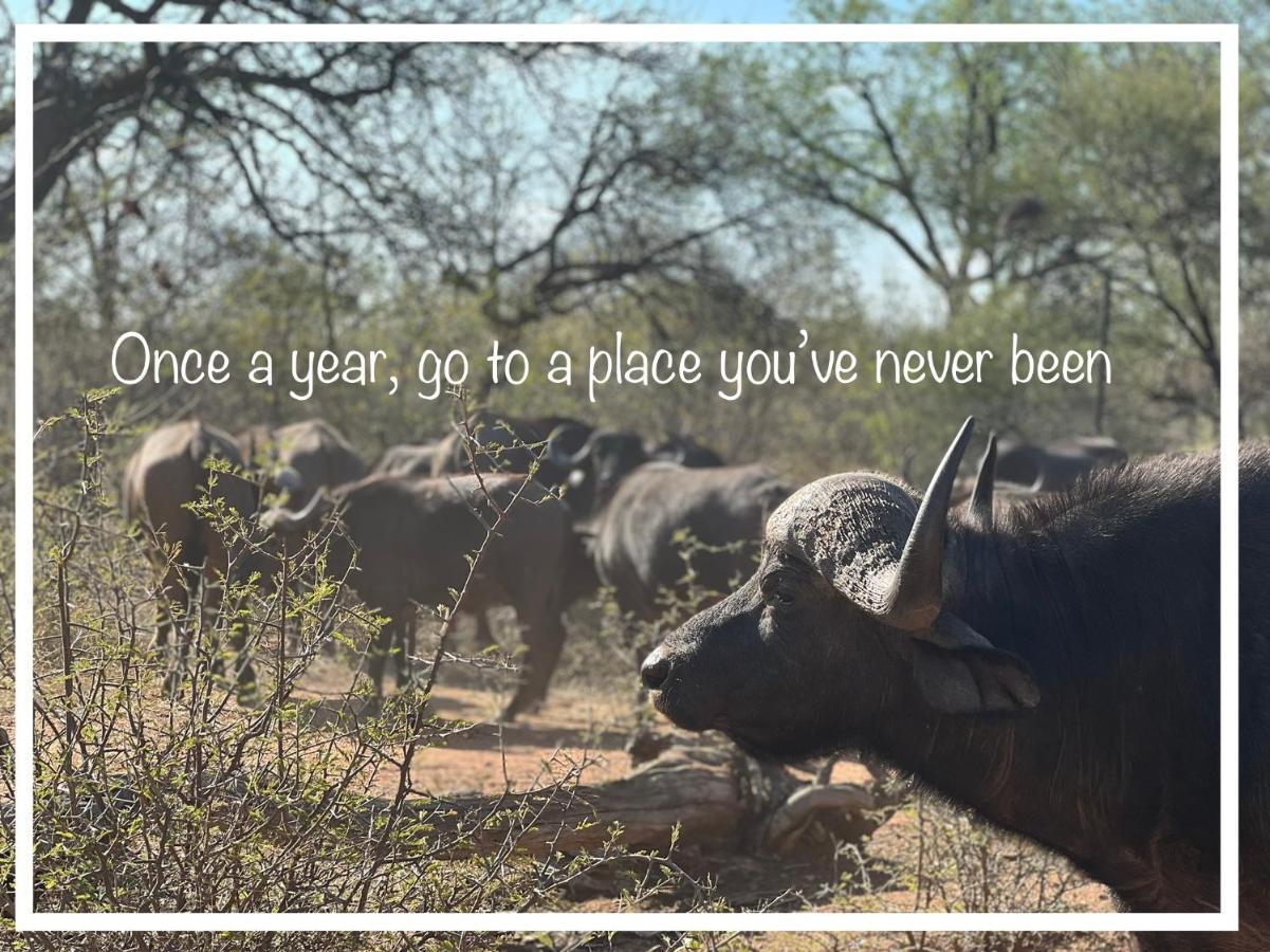 Simba Safaris African Pride Exotic Lodge Lephalale Bagian luar foto