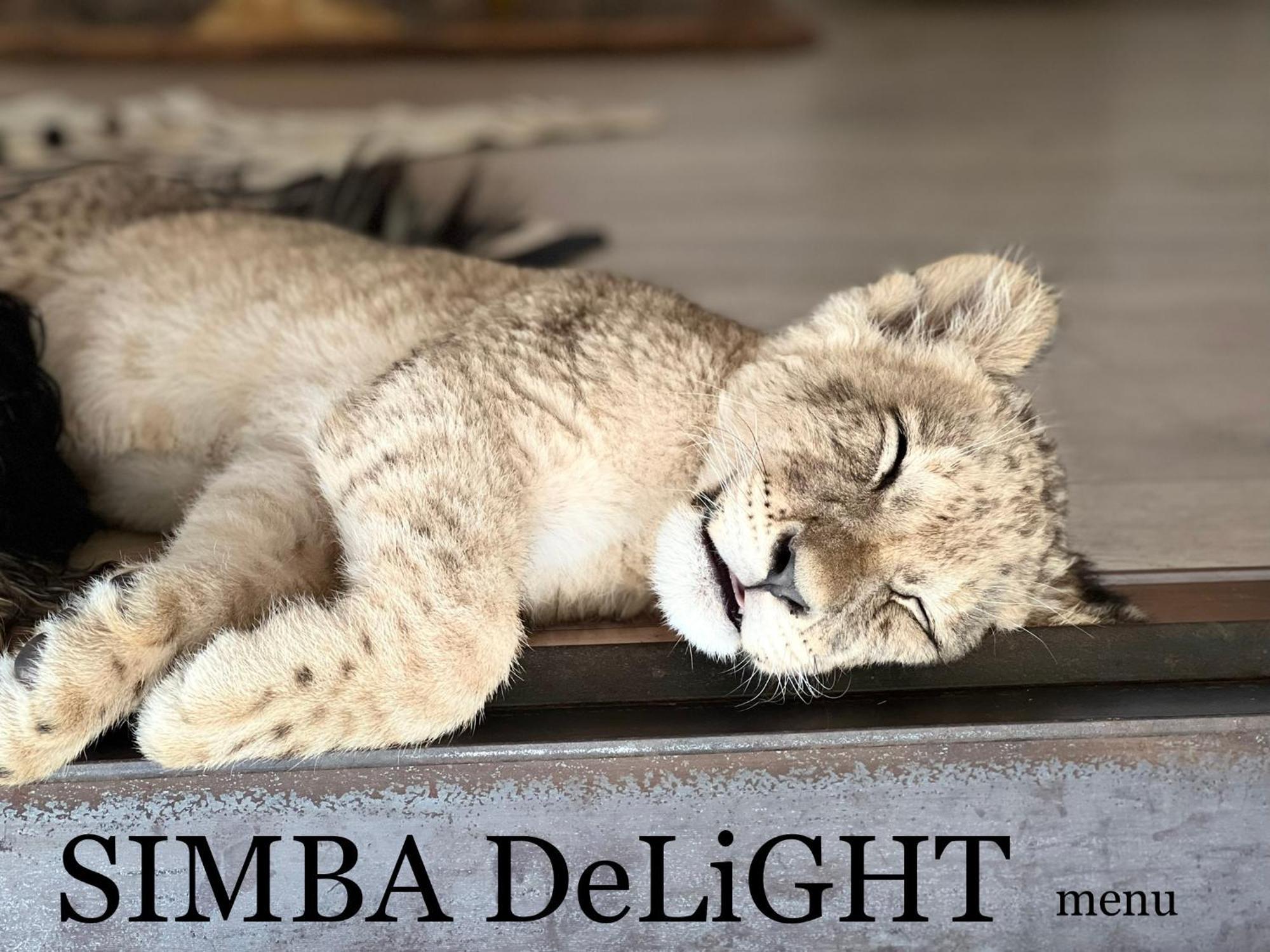 Simba Safaris African Pride Exotic Lodge Lephalale Bagian luar foto