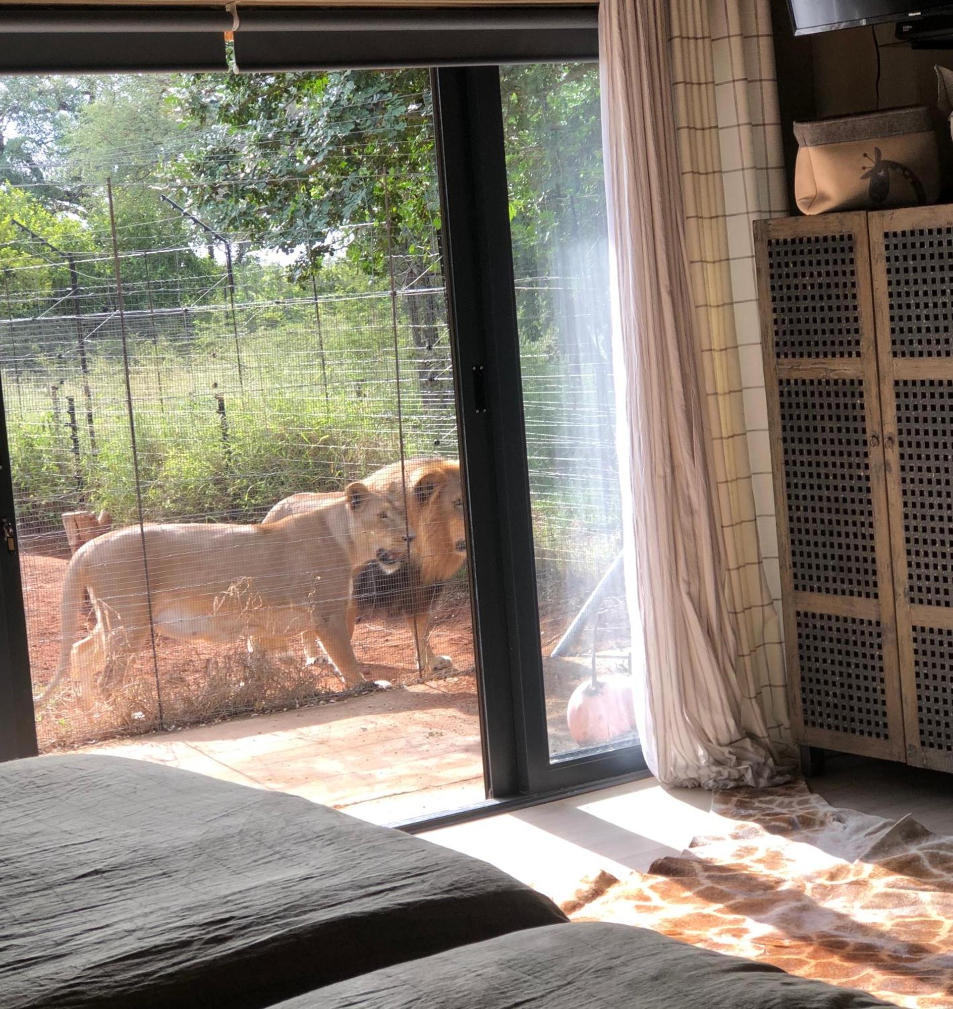 Simba Safaris African Pride Exotic Lodge Lephalale Bagian luar foto