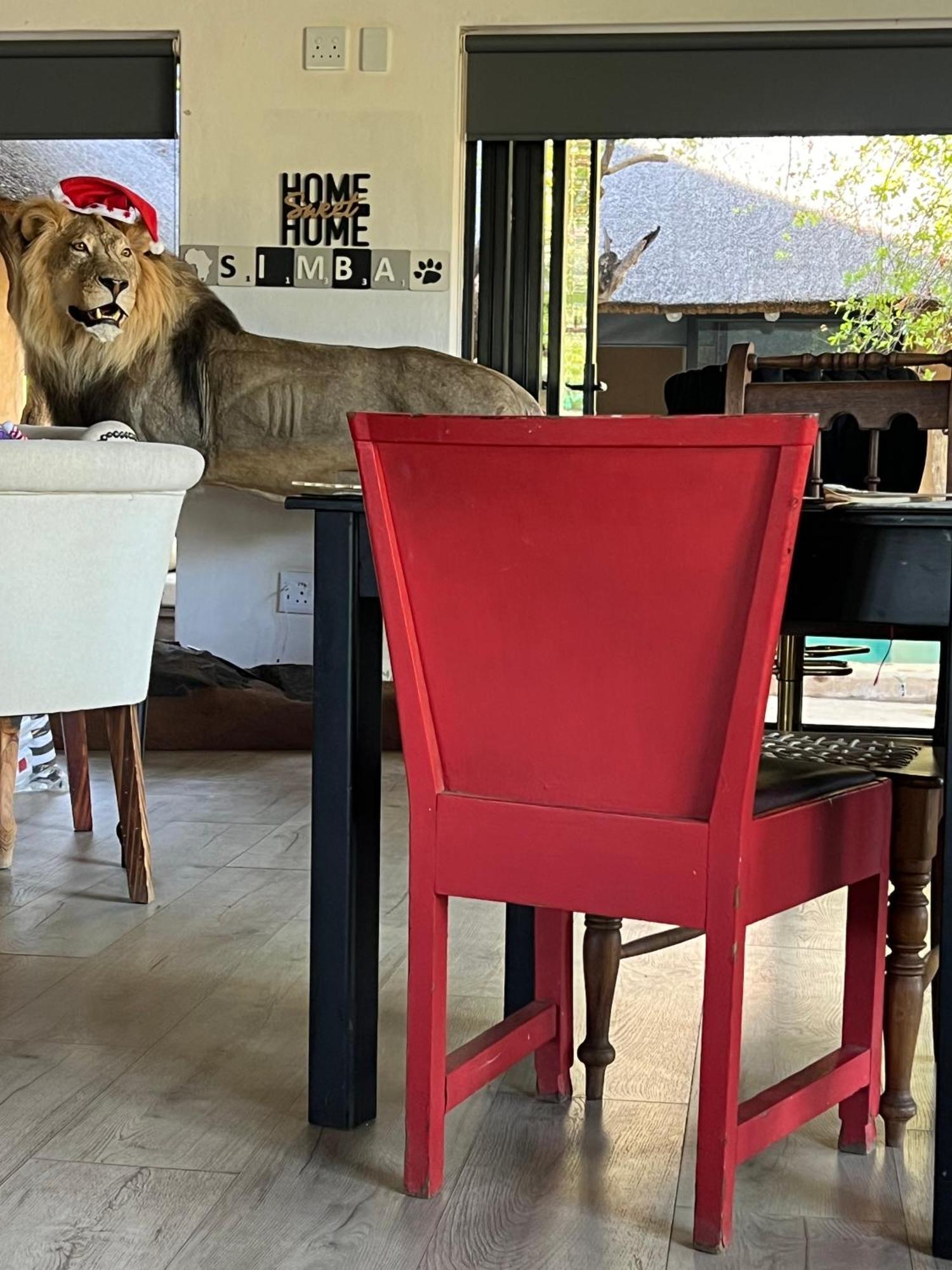 Simba Safaris African Pride Exotic Lodge Lephalale Bagian luar foto