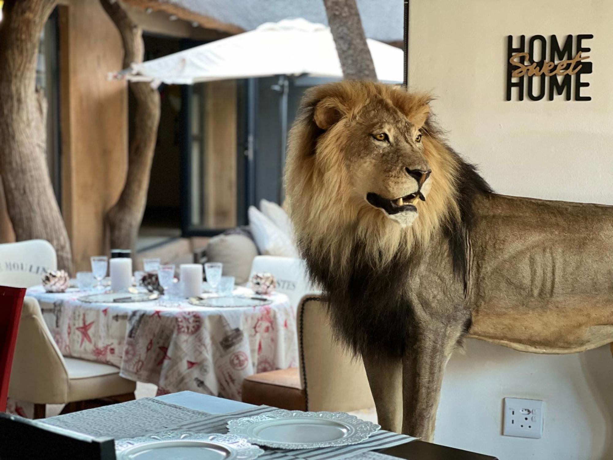 Simba Safaris African Pride Exotic Lodge Lephalale Bagian luar foto