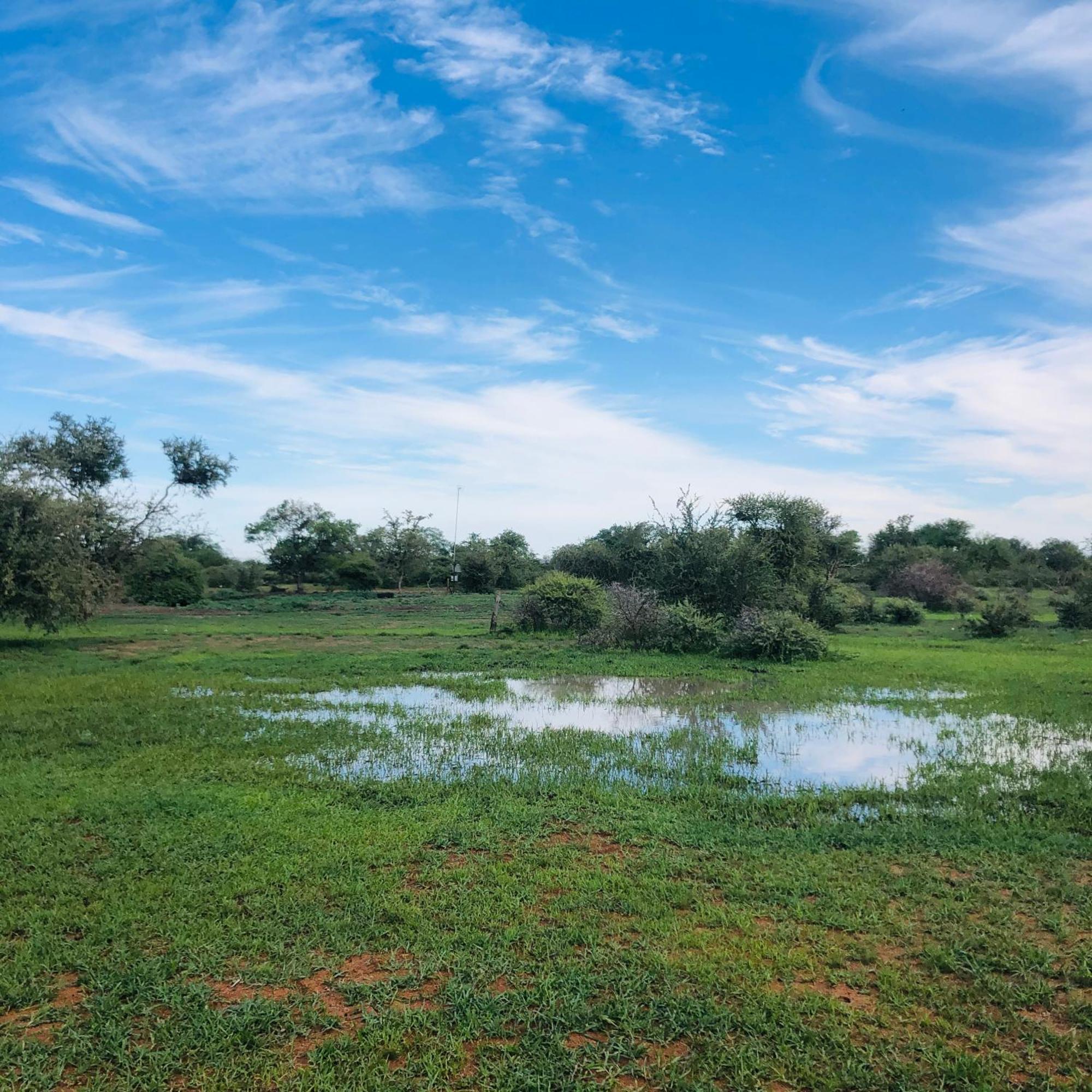 Simba Safaris African Pride Exotic Lodge Lephalale Bagian luar foto