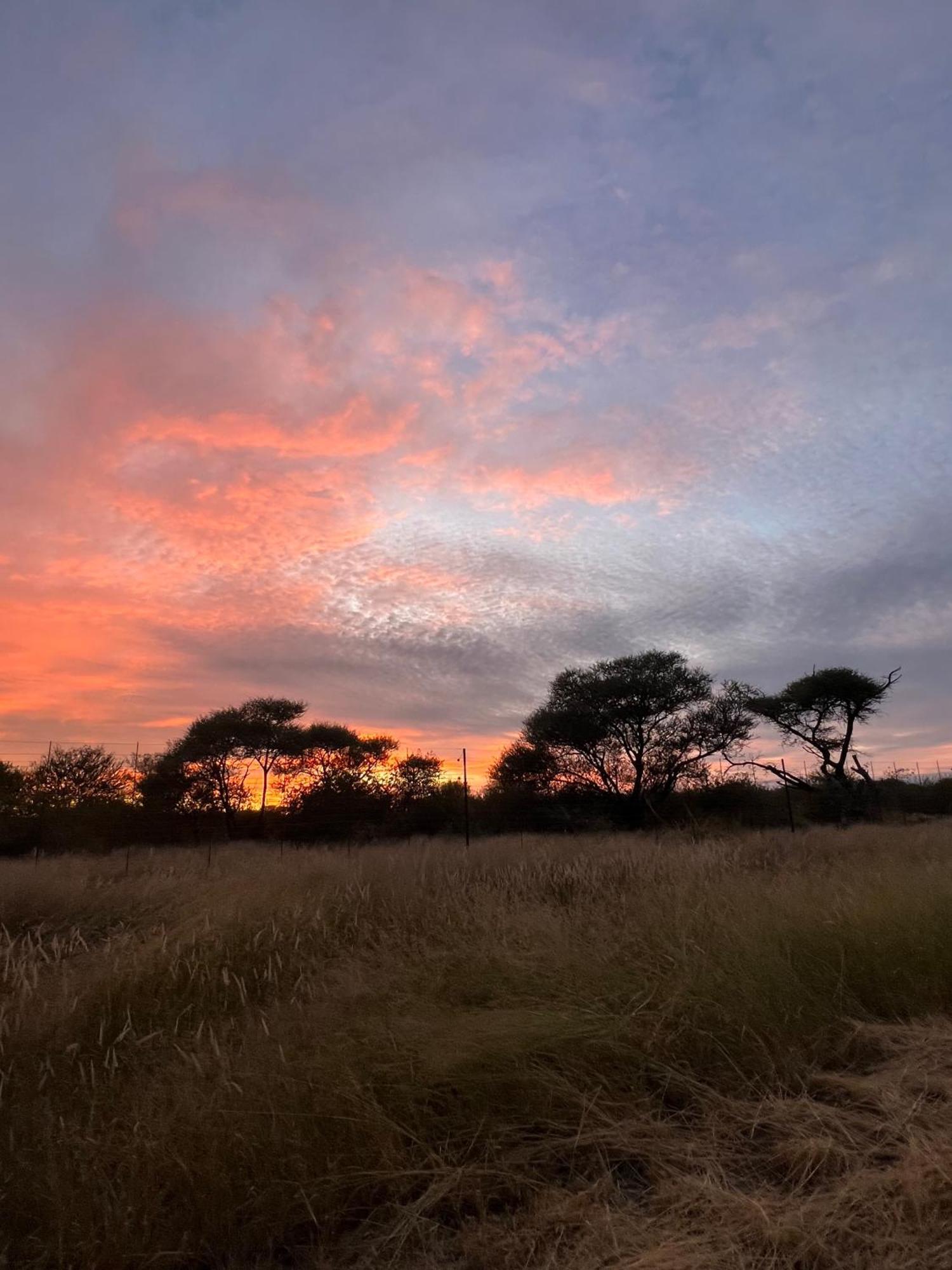 Simba Safaris African Pride Exotic Lodge Lephalale Bagian luar foto